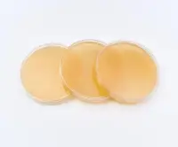 Чашки Петри КМАФАнМ (ОМЧ) (Гетеротрофы в образцах обработанной воды, среда R2A Agar) BGR-CP-017 БИОКОНТРОЛЬ