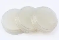 Контактные чашки Candida (среда BIGGY agar) BGR-CC-015 БИОКОНТРОЛЬ