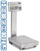 Весы взрывобезопасные ViBRA FZ-100K1GEx-i02