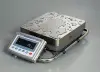 Весы лабораторно-промышленные AND GP-100K